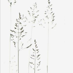 Meet your Posher, Blair